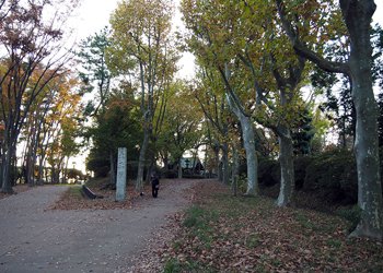 富士森公園