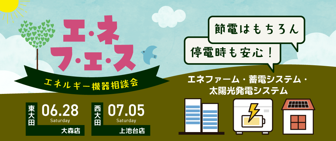 エネフェス